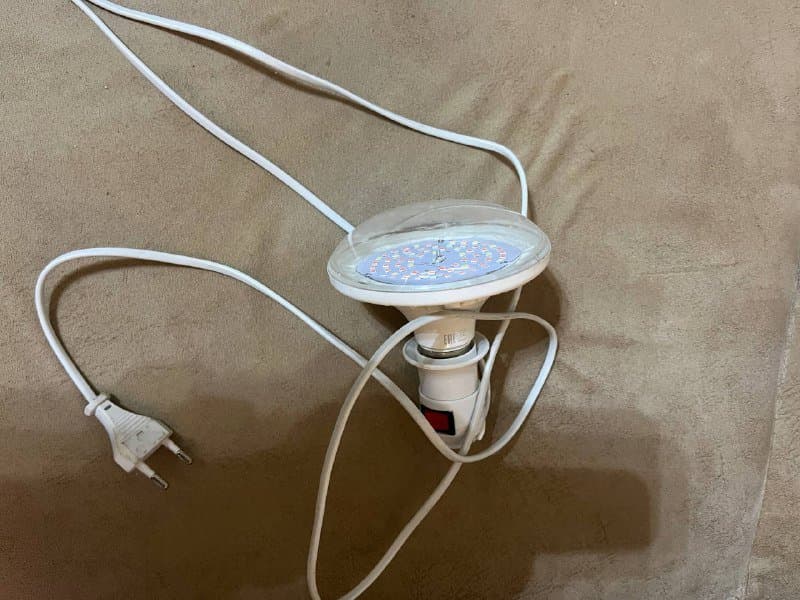 Фитолампа для растений 2