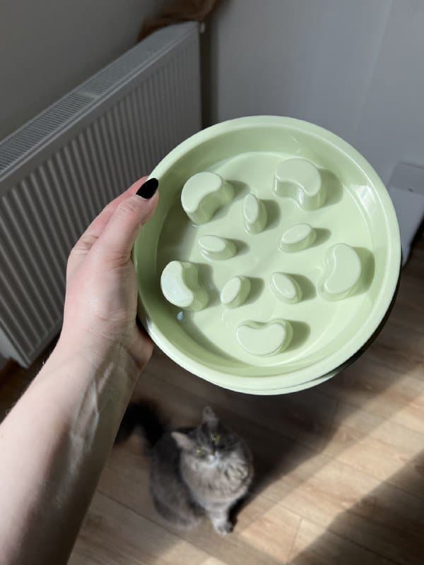 Пазл 2000 деталей, пазл 1500 деталей, миска для медленного кормления 5