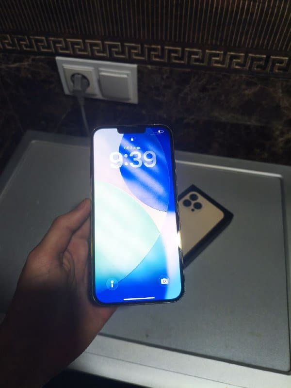 iPhone 13 Pro Max 256 ГБ 1