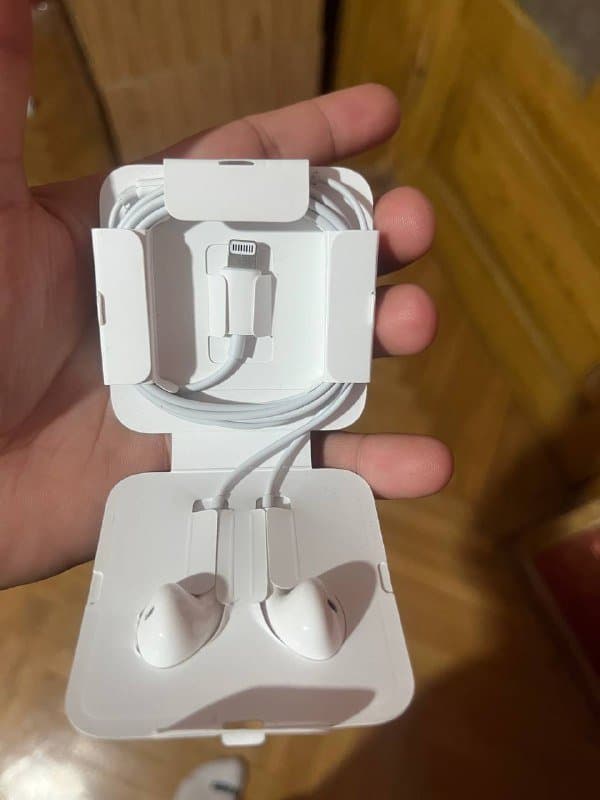 EarPods lightning для iPhone 2