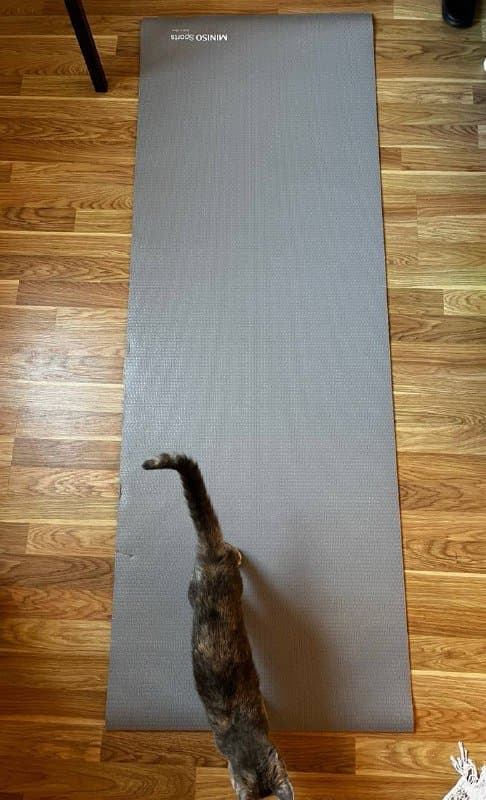 спортивный коврик miniso