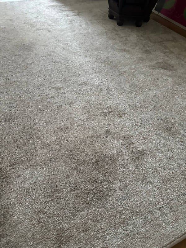 Ковер Zara home 160x230