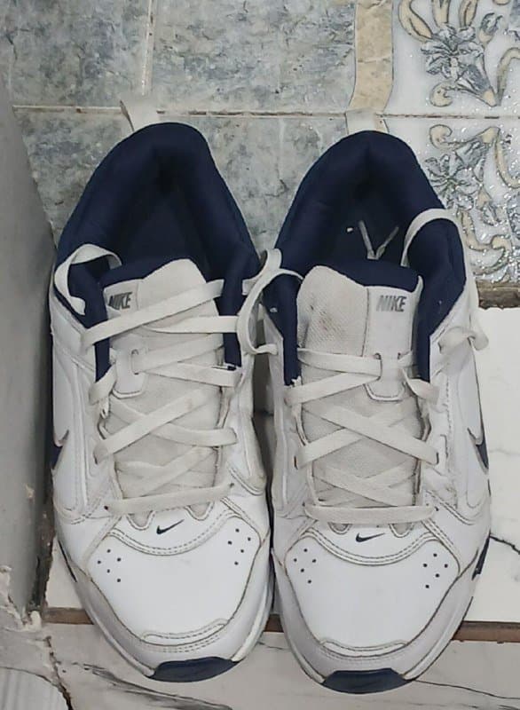 Кроссовки Nike DEFYALLDAY оригинал 1