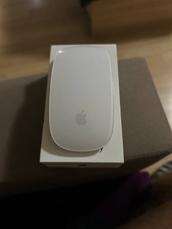 Magic Mouse 2 USB-c
