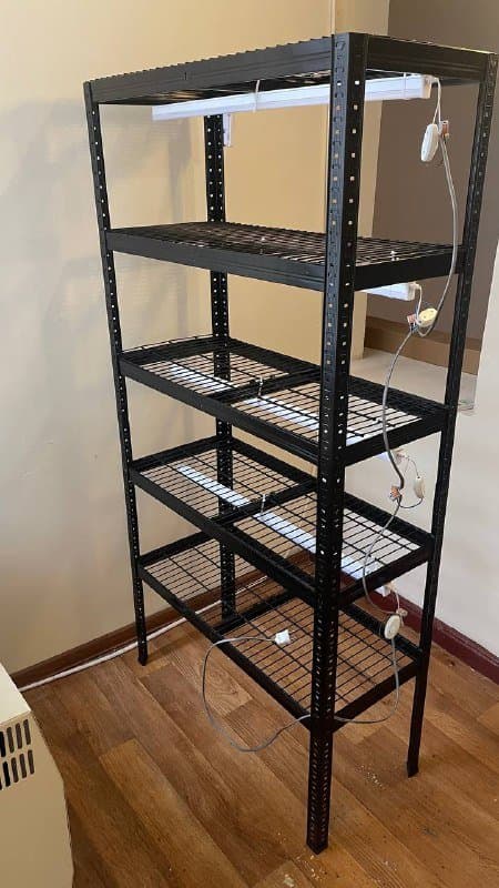 Стеллаж для выращивания цветов с лампами