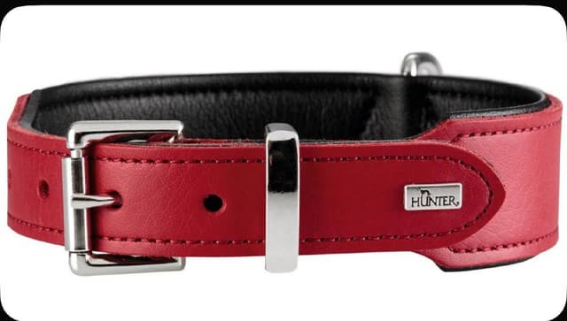 Ошейник кожаный, пальто, веб-камера, массажер для лица, сканер