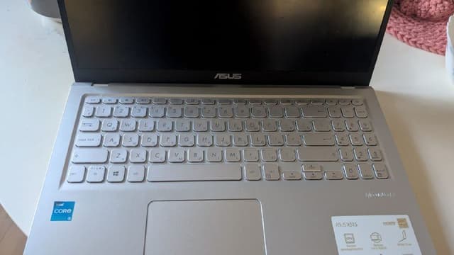 Ноутбук Asus X515E Intel Core i3 8GB 500GB