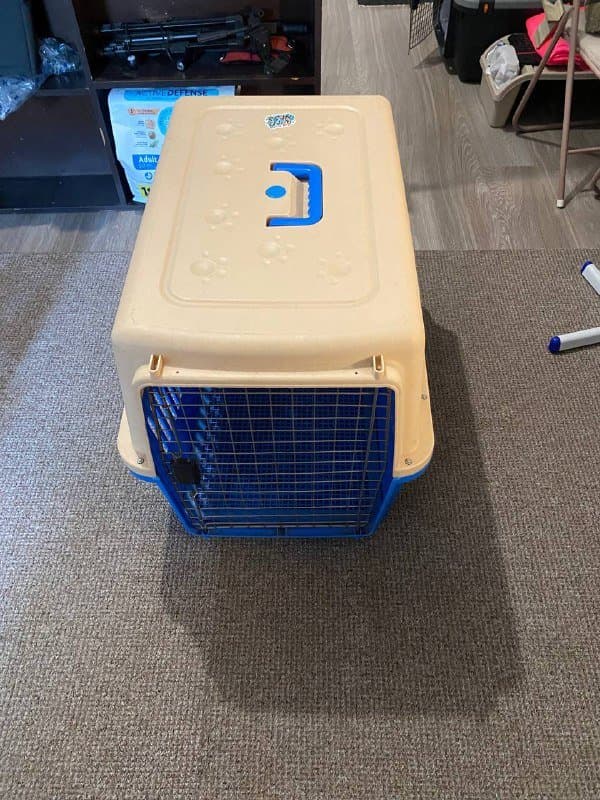 Авиабокс для собак 5