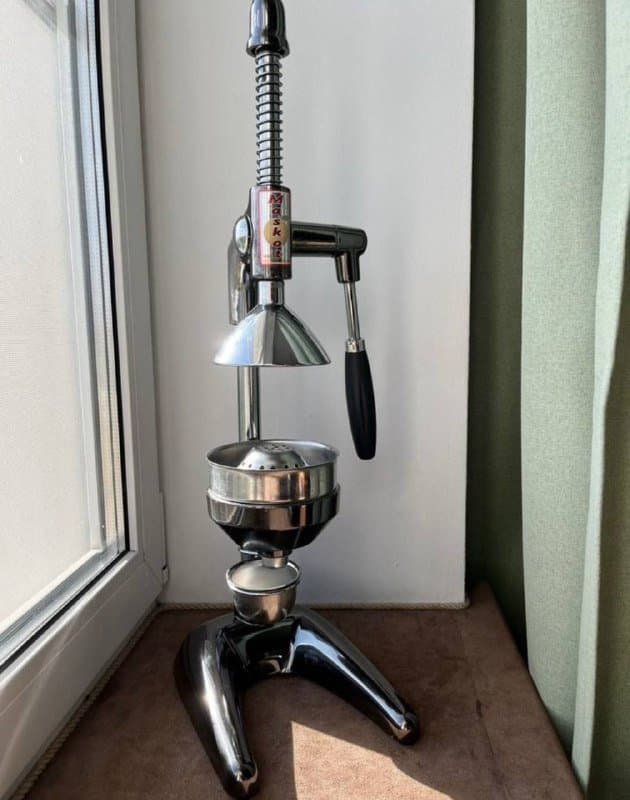 Профессиональная соковыжималка пресс